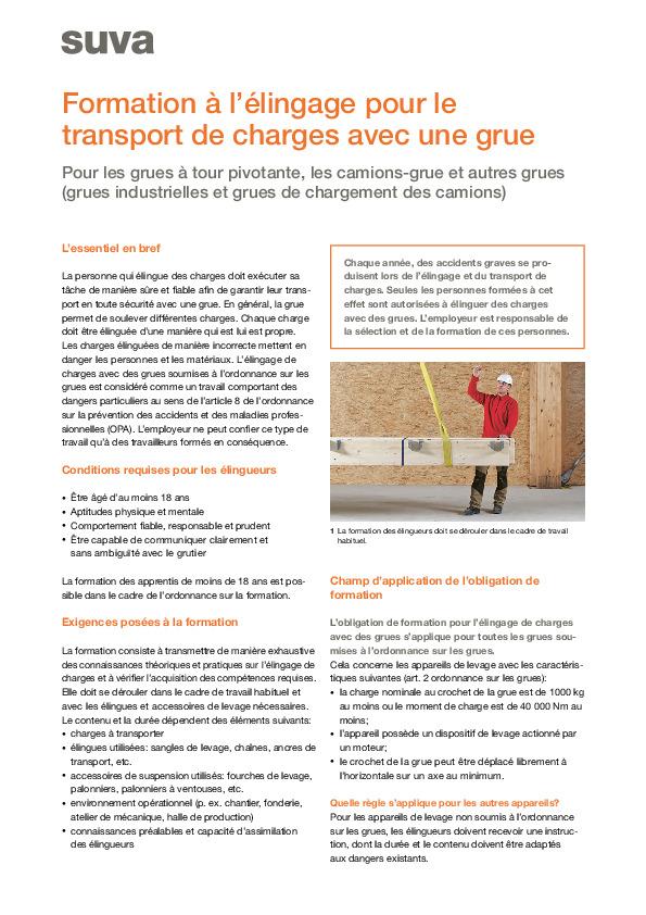Grues: formation élingage de charges