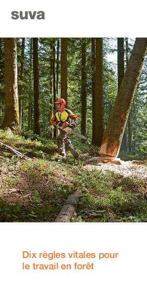 Prospectus: Dix règles vitales pour le travail en forêt